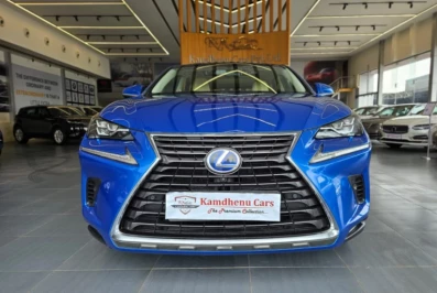 Lexus NX 300H LUXURY GRADE